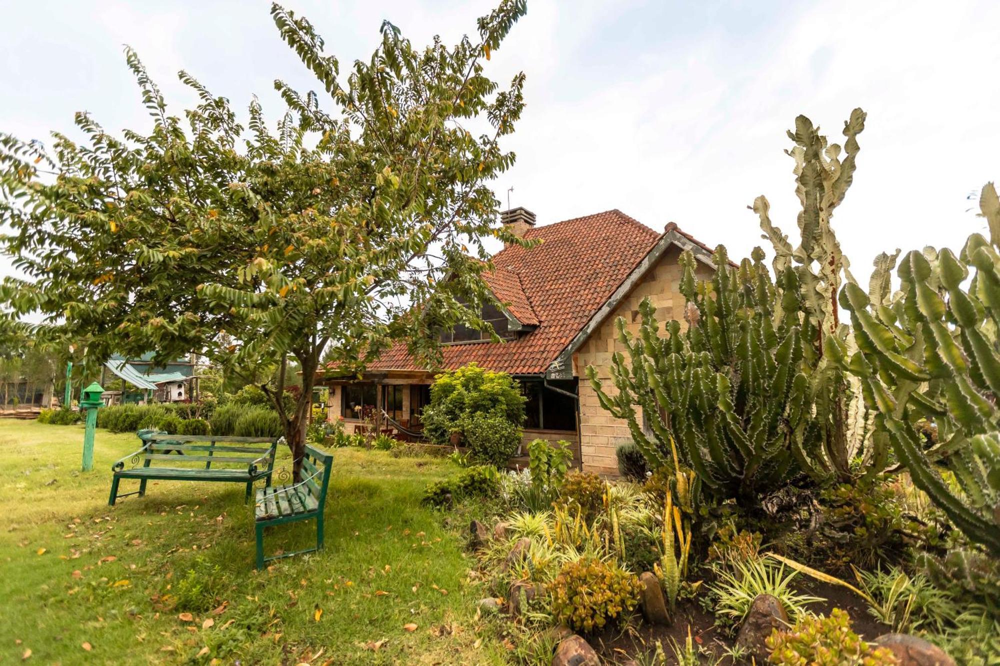 Mount Kenya Farm Stay แนนยูกี ภายนอก รูปภาพ